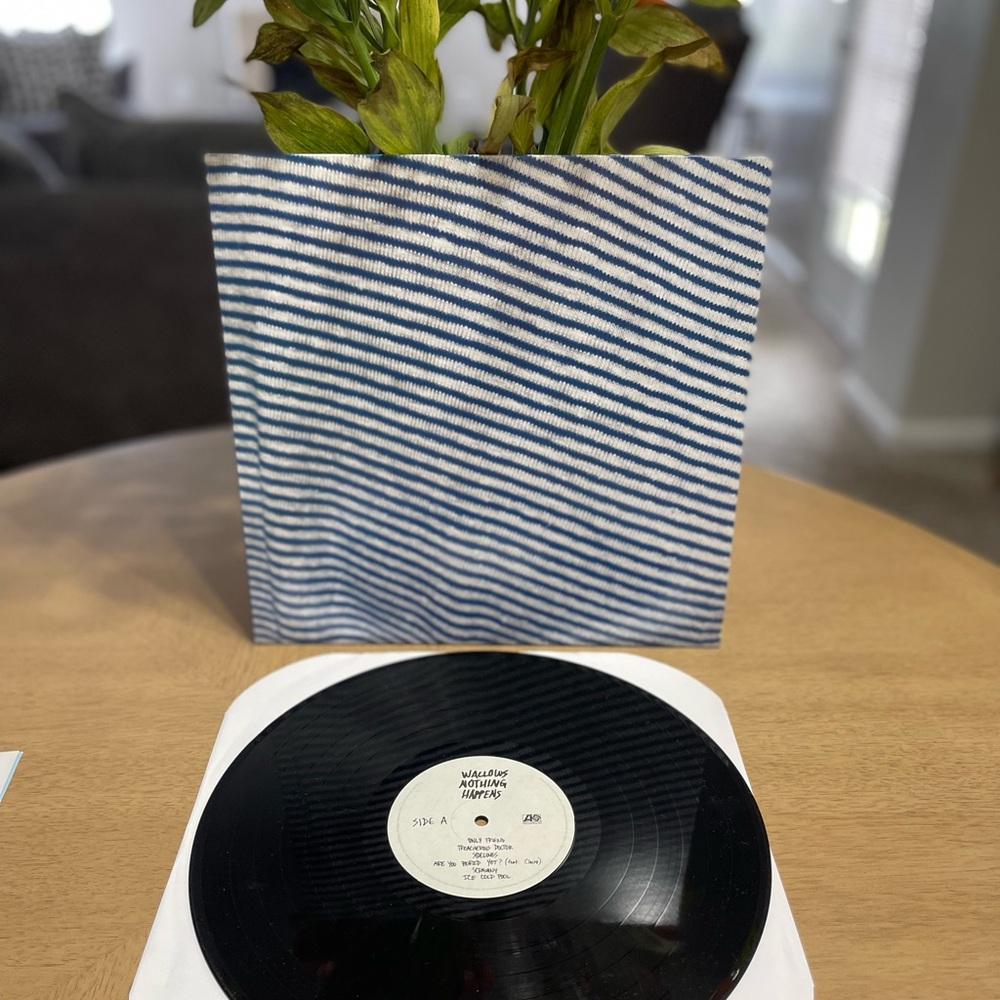 Wallows, Nothing Happens Vinyl